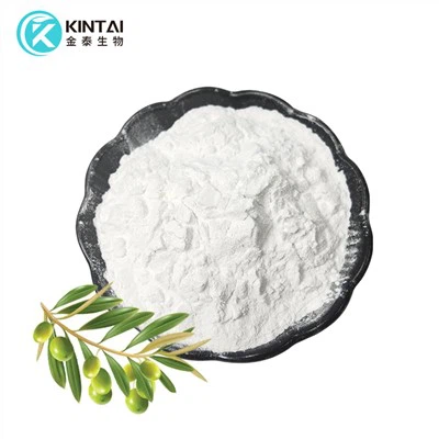 Zeytin Yaprağı Ekstresi Tozu