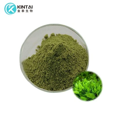 Spirulina Özü Tozu