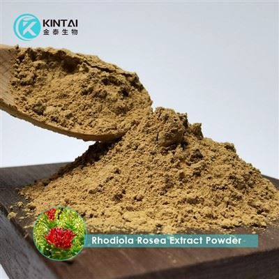 Rhodiola Rosea Özü Tozu